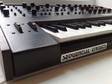 Sequential Circuits Pro-One Pro One Analogue Synth Mint